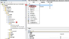 SQL Server如何实现插入记录更新记录和删除记录