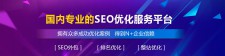 SEO优化案例研究，轻松上首页