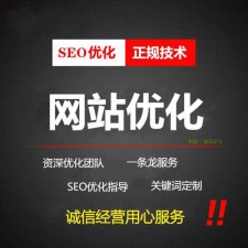 从SEO到转化，让网站盈利稳定增长