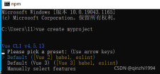 深入了解Node.js环境变量的获取