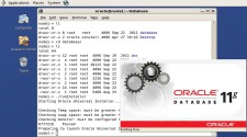 Oracle 11g RAC Windows 安装及配置教程