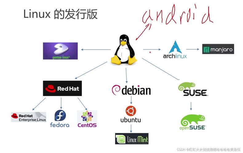CentOS和Linux系统的详细介绍