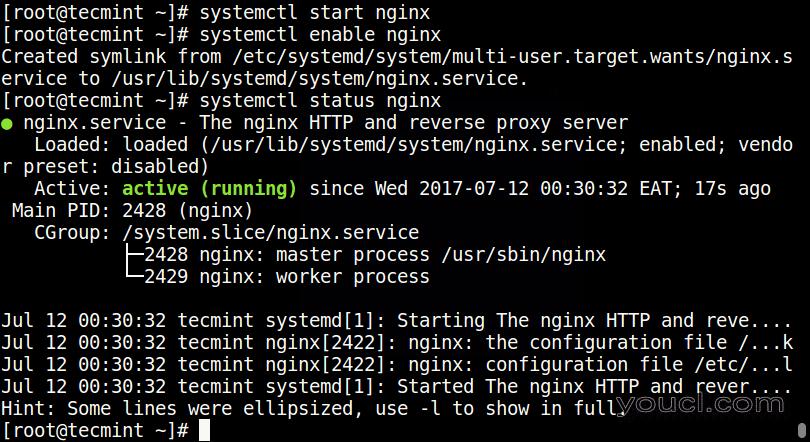 CentOS系统如何启动Nginx：简明教程